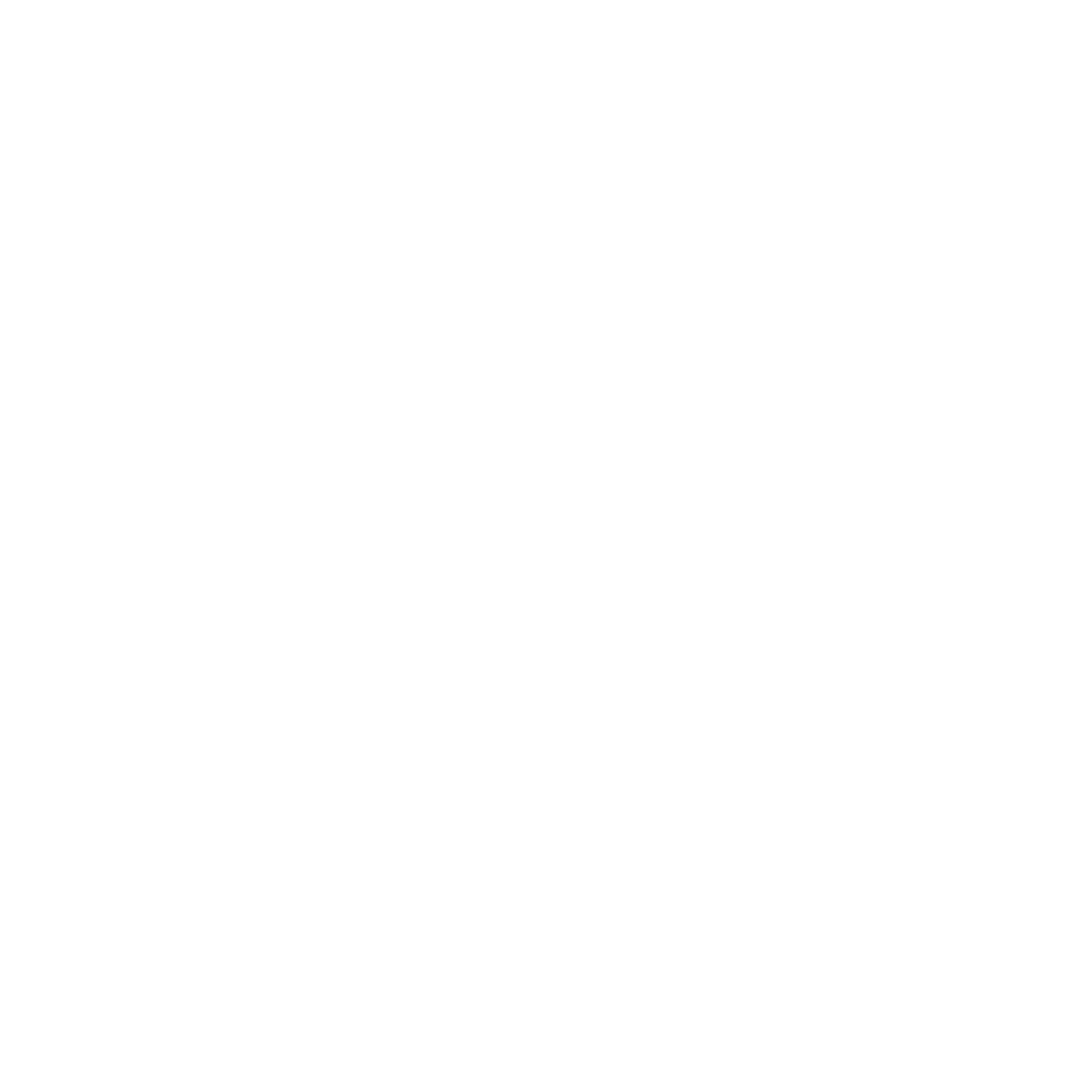 house white icon