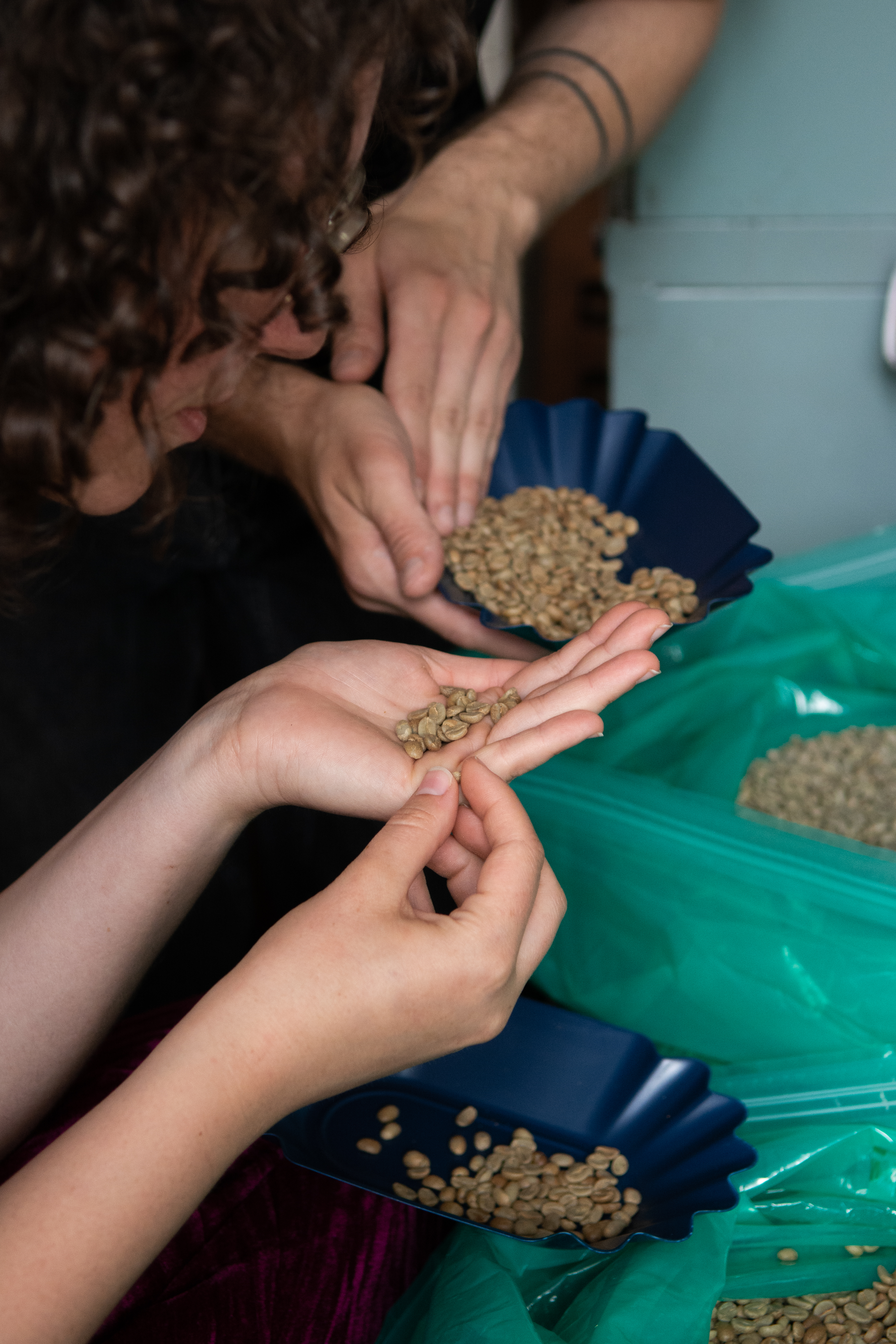 Konsultacje dla palarni