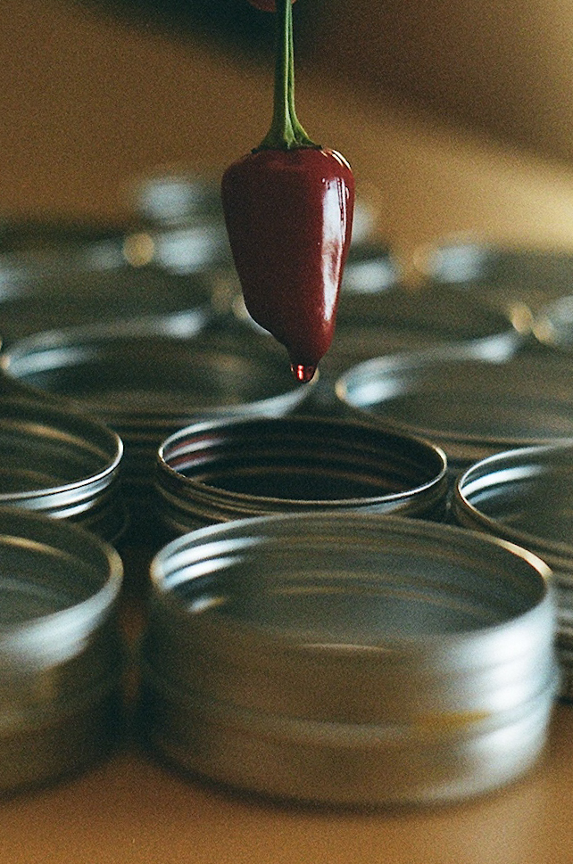 Sensory Box zawartość